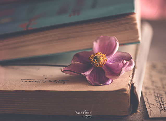 Macro