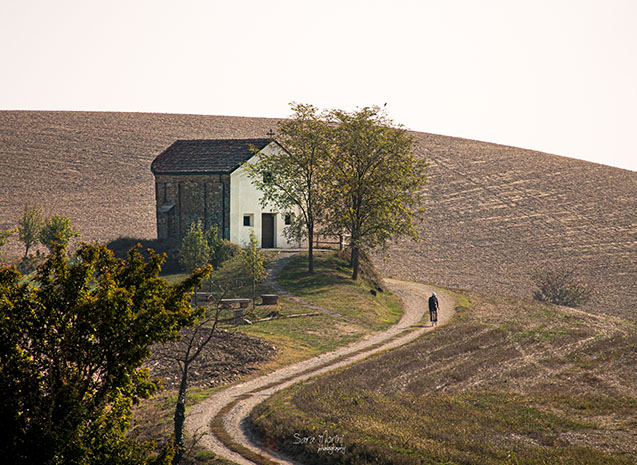 Paesaggi e natura