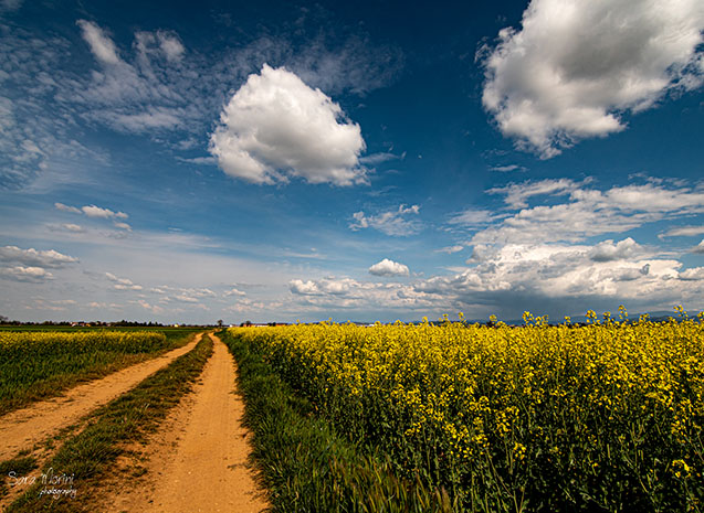 Paesaggi e natura